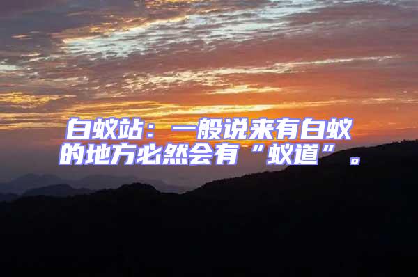 白蟻站：一般說來有白蟻的地方必然會有“蟻道”。