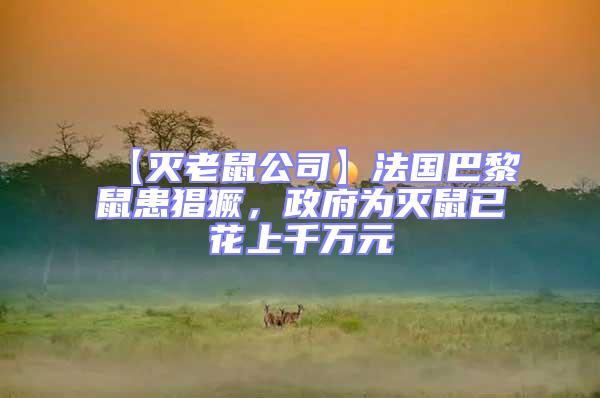 【滅老鼠公司】法國巴黎鼠患猖獗，政府為滅鼠已花上千萬元