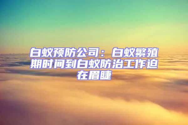 白蟻預防公司:白蟻繁殖期時間到白蟻防治工作迫在眉睫
