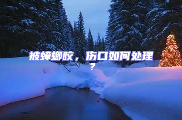 被蟑螂咬，傷口如何處理？