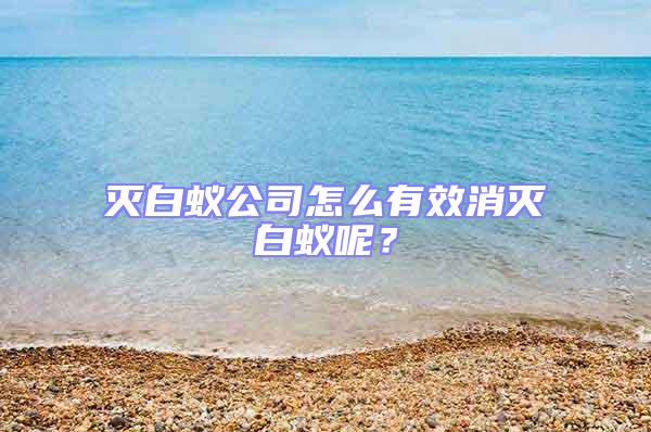 滅白蟻公司怎么有效消滅白蟻呢？