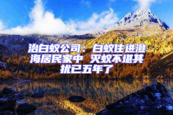 治白蟻公司:白蟻住進澄海居民家中 滅蟻不堪其擾已五年了