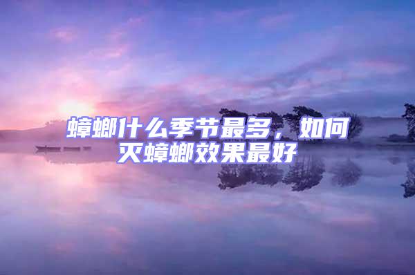 蟑螂什么季節(jié)最多,如何滅蟑螂效果最好