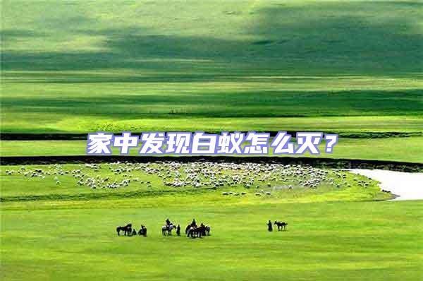 家中發(fā)現(xiàn)白蟻怎么滅？