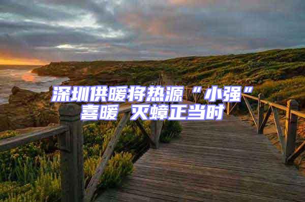 深圳供暖將熱源“小強(qiáng)”喜暖 滅蟑正當(dāng)時