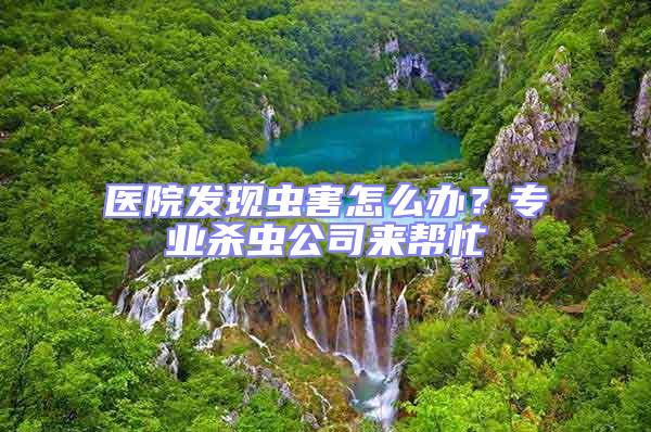 醫(yī)院發(fā)現(xiàn)蟲害怎么辦？專業(yè)殺蟲公司來(lái)幫忙