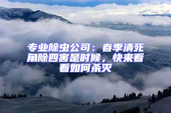 專業除蟲公司：春季清死角除四害是時候，快來看看如何殺滅