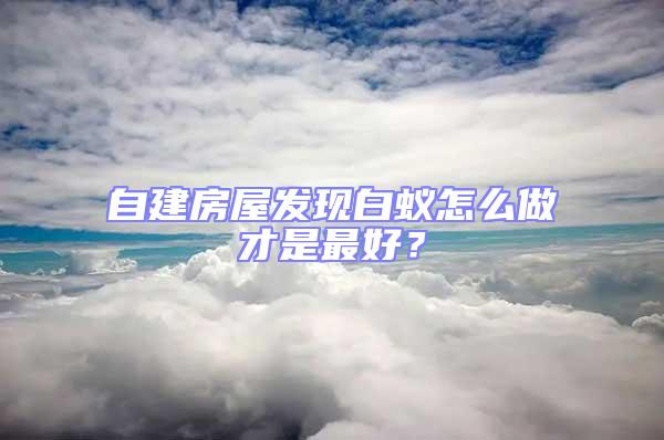 自建房屋發現白蟻怎么做才是最好？