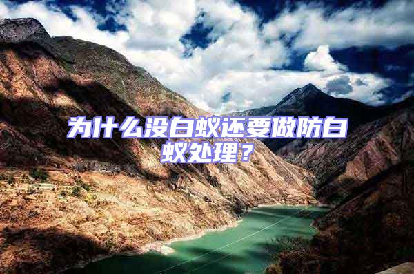 為什么沒(méi)白蟻還要做防白蟻處理?