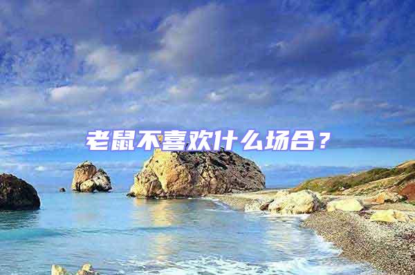 老鼠不喜歡什么場(chǎng)合？