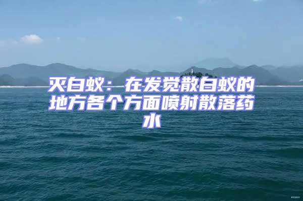 滅白蟻：在發(fā)覺(jué)散白蟻的地方各個(gè)方面噴射散落藥水