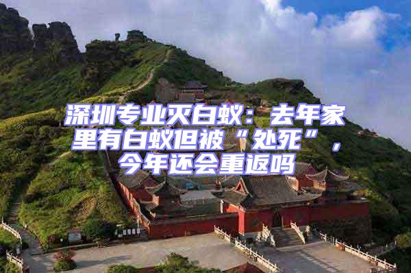 深圳專業滅白蟻:去年家里有白蟻但被“處死”,今年還會重返嗎