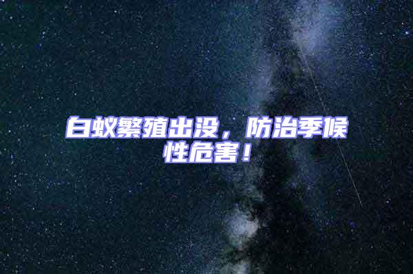 白蟻繁殖出沒，防治季候性危害！