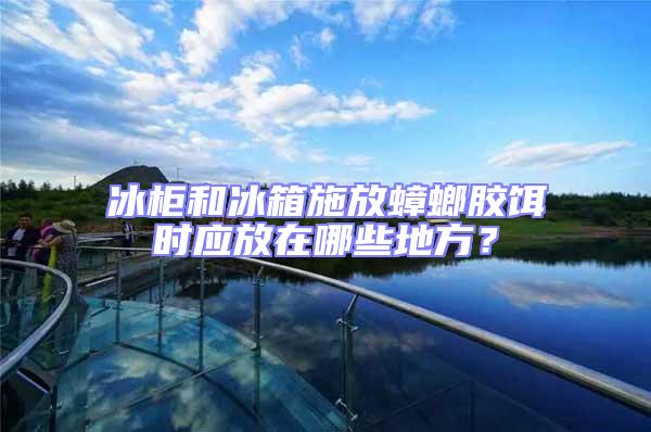 冰柜和冰箱施放蟑螂膠餌時應放在哪些地方？