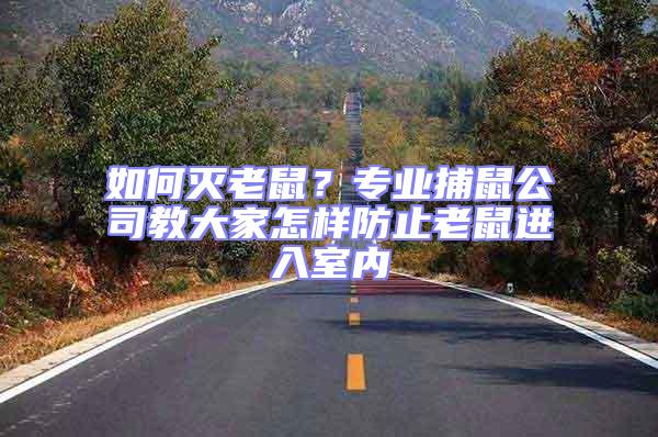 如何滅老鼠？專業捕鼠公司教大家怎樣防止老鼠進入室內