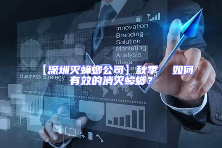 【深圳滅蟑螂公司】秋季 如何有效的消滅蟑螂?
