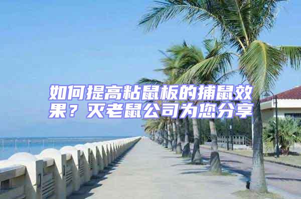 如何提高粘鼠板的捕鼠效果？滅老鼠公司為您分享