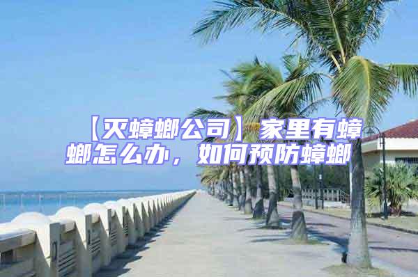 【滅蟑螂公司】家里有蟑螂怎么辦，如何預防蟑螂