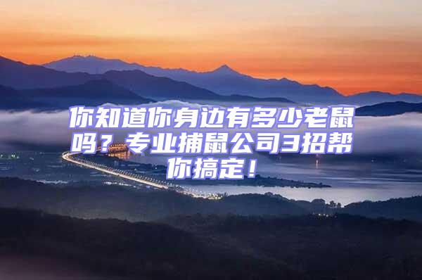 你知道你身邊有多少老鼠嗎？專業(yè)捕鼠公司3招幫你搞定！