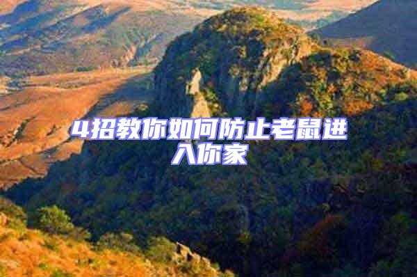 4招教你如何防止老鼠進(jìn)入你家