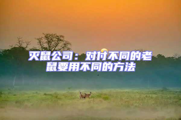 滅鼠公司:對付不同的老鼠要用不同的方法