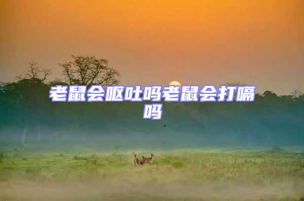 老鼠會嘔吐嗎老鼠會打嗝嗎