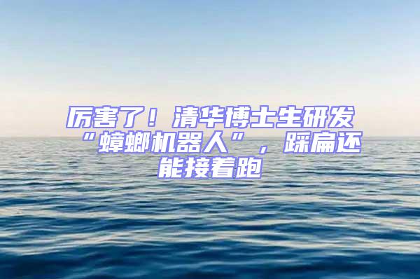 厲害了!清華博士生研發(fā)“蟑螂機(jī)器人”,踩扁還能接著跑