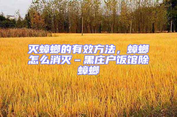 滅蟑螂的有效方法，蟑螂怎么消滅–黑莊戶飯館除蟑螂