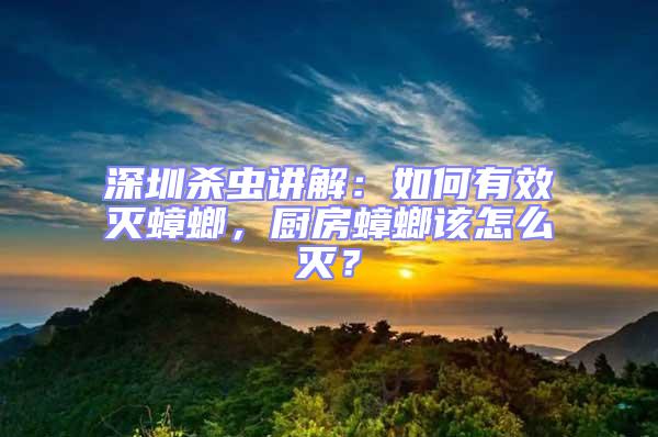 深圳殺蟲講解：如何有效滅蟑螂，廚房蟑螂該怎么滅？