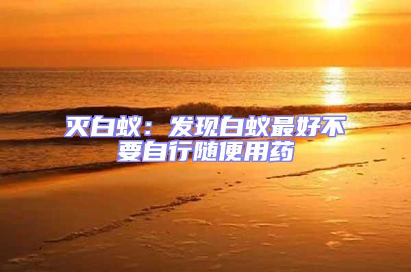 滅白蟻：發現白蟻最好不要自行隨便用藥