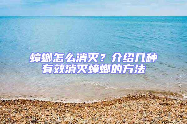 蟑螂怎么消滅？介紹幾種有效消滅蟑螂的方法