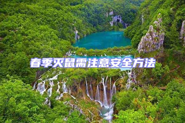 春季滅鼠需注意安全方法