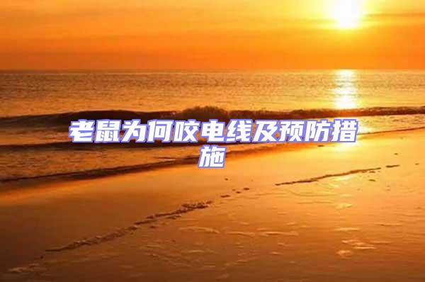 老鼠為何咬電線及預(yù)防措施