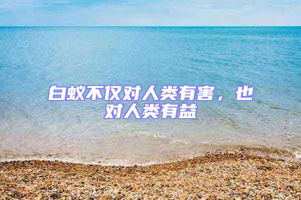 白蟻不僅對人類有害，也對人類有益