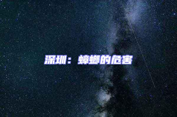 深圳：蟑螂的危害