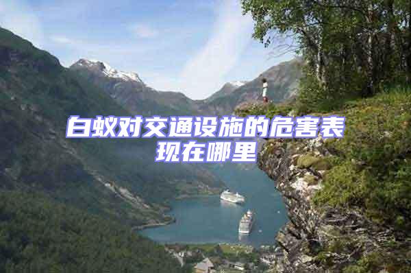 白蟻對交通設施的危害表現(xiàn)在哪里