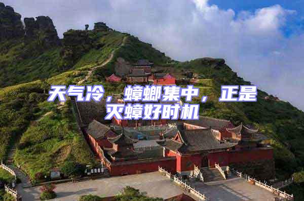 天氣冷,蟑螂集中,正是滅蟑好時(shí)機(jī)