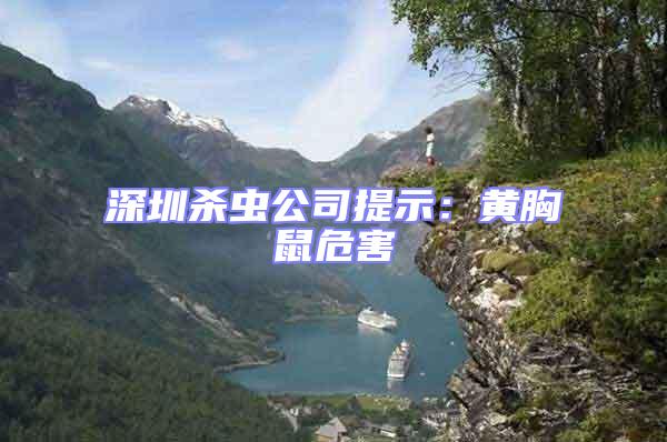 深圳殺蟲公司提示：黃胸鼠危害