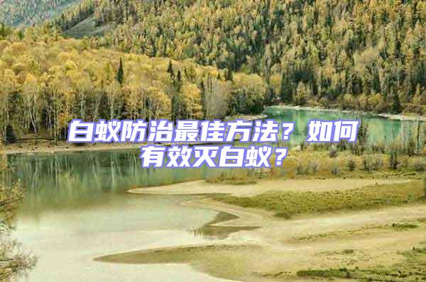 白蟻防治最佳方法？如何有效滅白蟻？