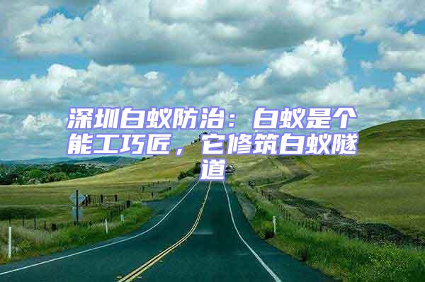 深圳白蟻防治：白蟻是個能工巧匠，它修筑白蟻隧道