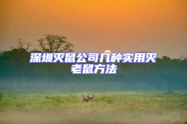 深圳滅鼠公司幾種實(shí)用滅老鼠方法