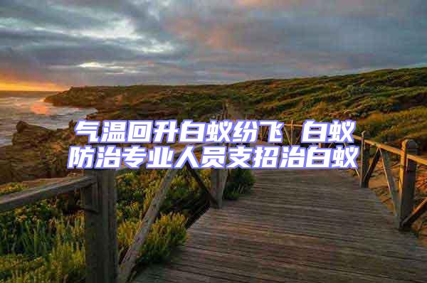 氣溫回升白蟻紛飛 白蟻防治專業人員支招治白蟻