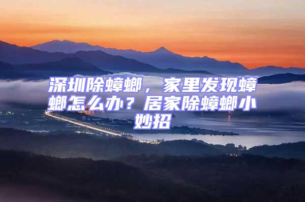 深圳除蟑螂，家里發(fā)現(xiàn)蟑螂怎么辦？居家除蟑螂小妙招