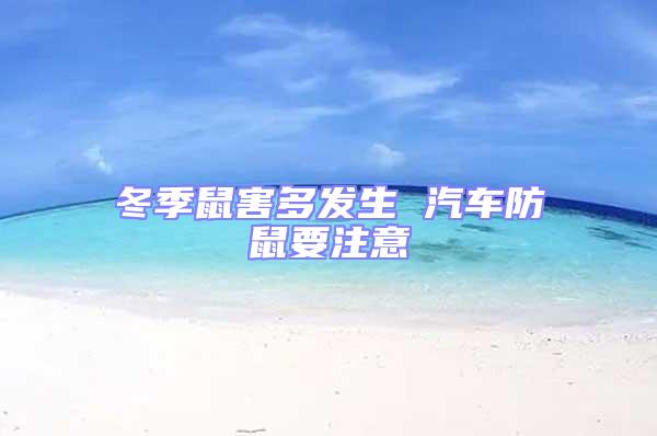 冬季鼠害多發生 汽車防鼠要注意