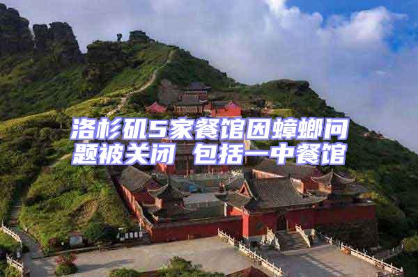 洛杉磯5家餐館因蟑螂問題被關(guān)閉 包括一中餐館