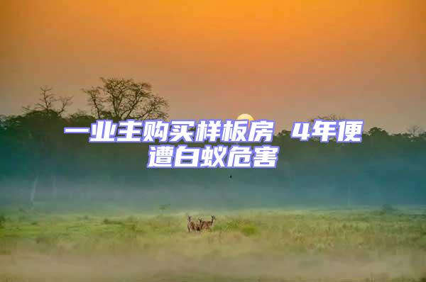 一業主購買樣板房 4年便遭白蟻危害