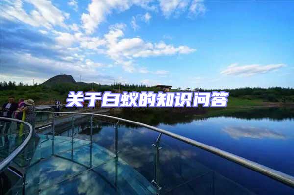 關(guān)于白蟻的知識(shí)問(wèn)答