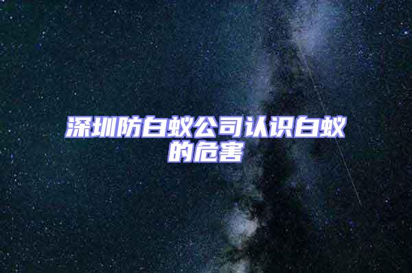 深圳防白蟻公司認識白蟻的危害