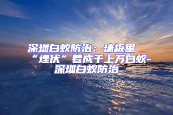 深圳白蟻防治:墻板里“埋伏”著成千上萬(wàn)白蟻-深圳白蟻防治