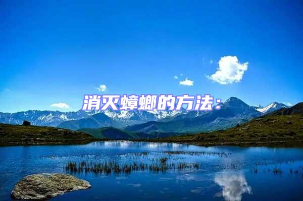 消滅蟑螂的方法: